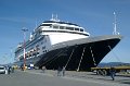 The Holland America Zandam
